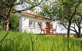Ferienhaus Apfelstädt